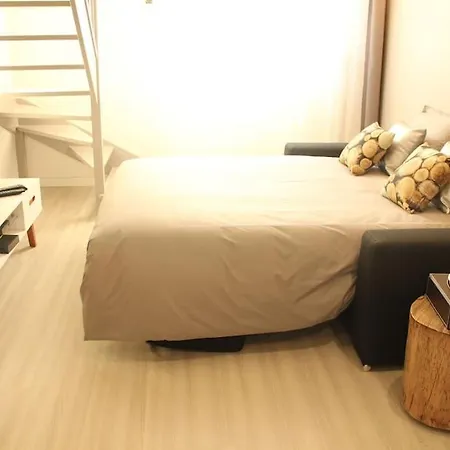 Duplex Cosy Avec Terrasse/part-dieu Lyon
